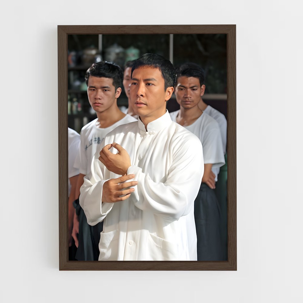 Poster Ip Man en Action – affiche Kung Fu (vue 5)